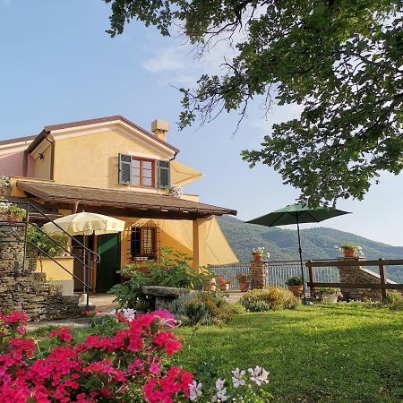 MezzanegoElsa House住宿加早餐旅馆 外观 照片