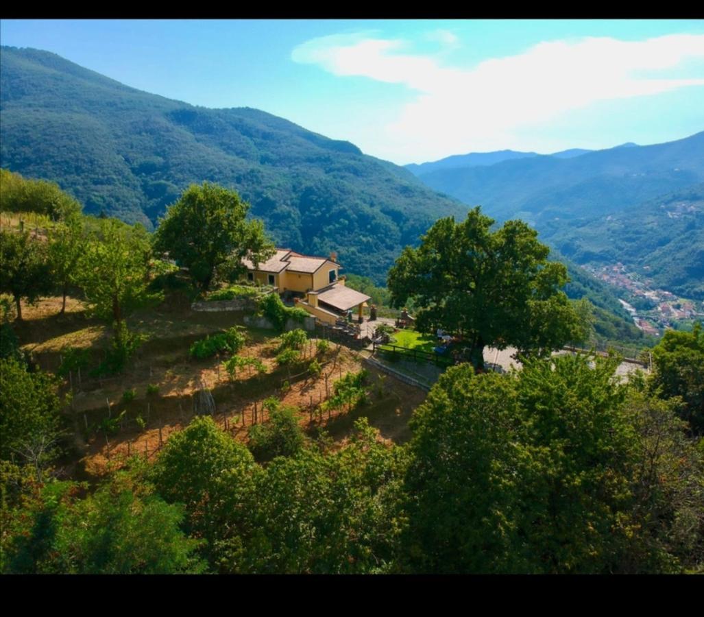 MezzanegoElsa House住宿加早餐旅馆 外观 照片